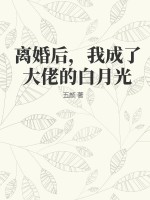 离婚后，我成了大佬的白月光